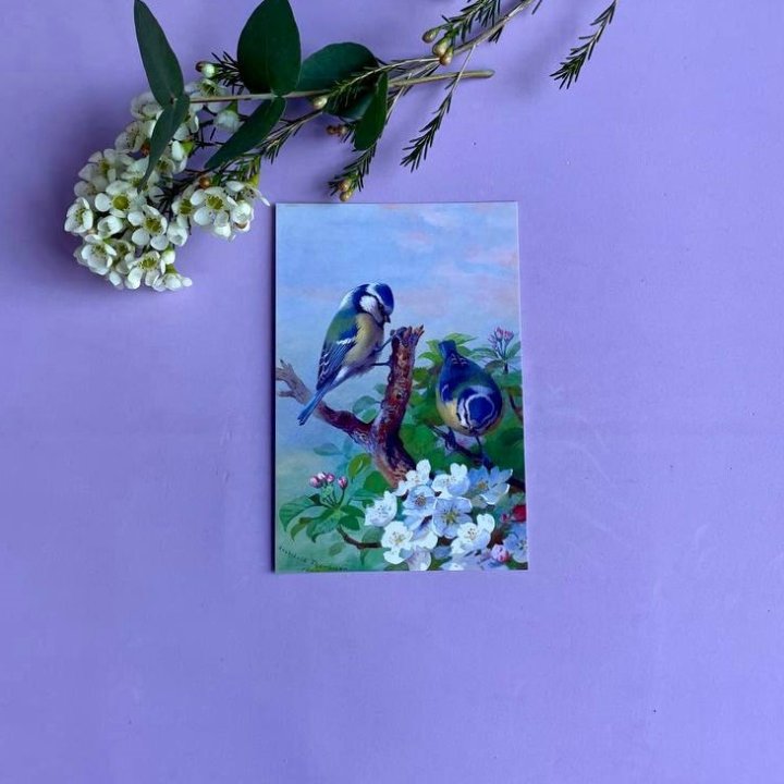 Открытка к букету "Птицы" в Новосибирске