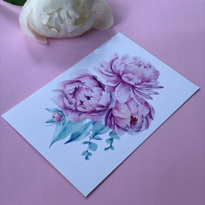 Открытка к букету "Пионы" в Новосибирске