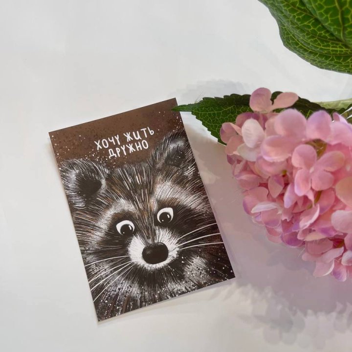 Открытка к букету "Енотик" в Новосибирске