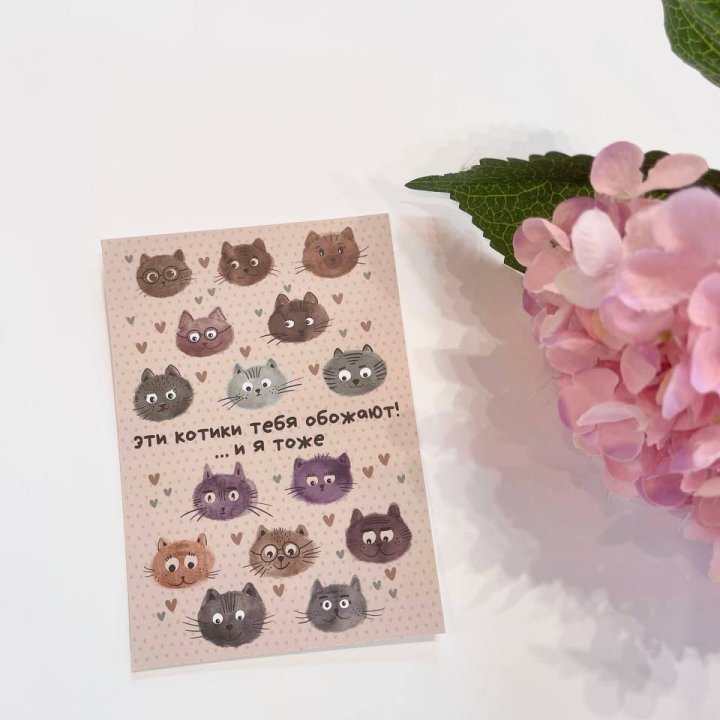 Открытка к букету "Котики" в Новосибирске