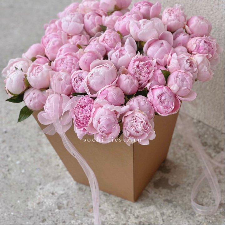 49 пионов в крафт коробке в Новосибирске