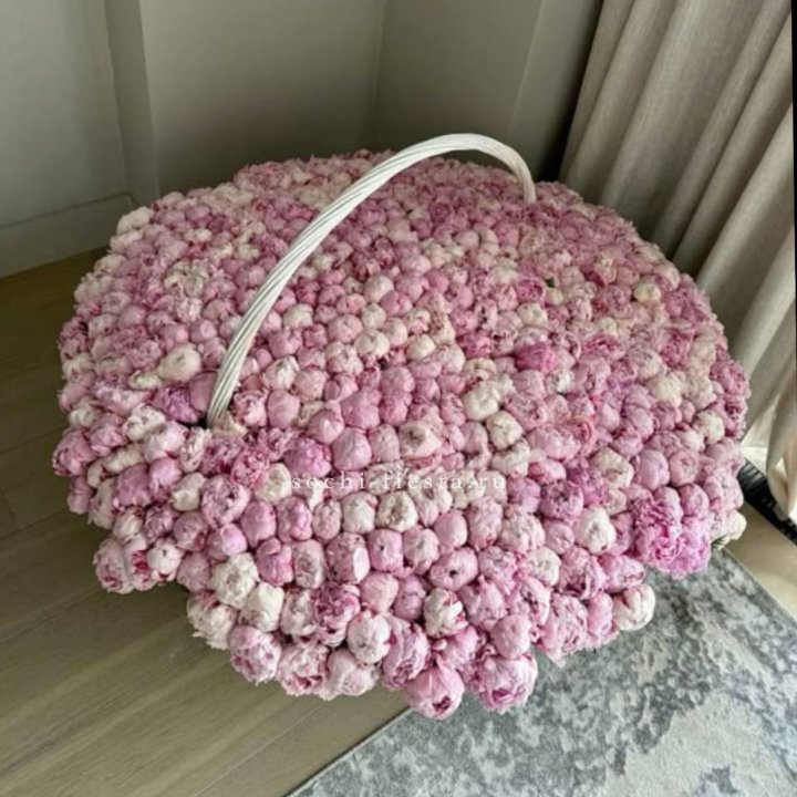 Корзина 555 пионов в Новосибирске