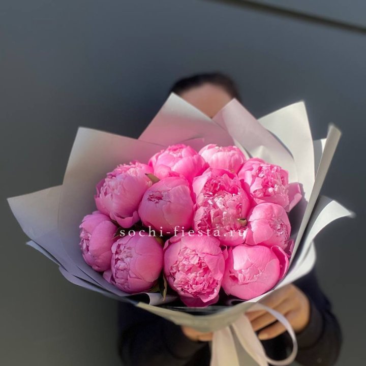 Пионы Алекс флеминг в Новосибирске