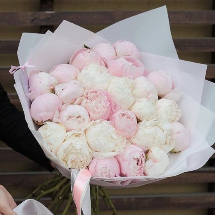 29 пионов в Новосибирске