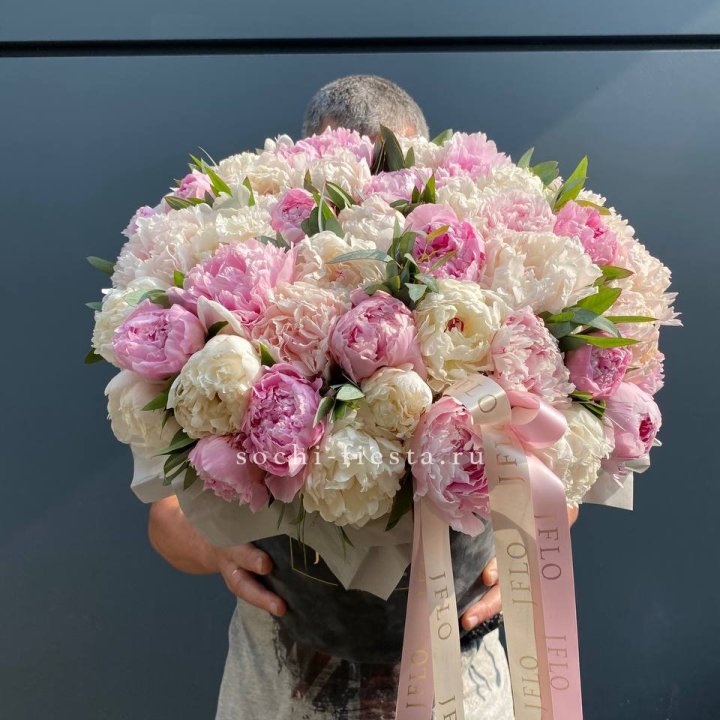 51 пионов в боксе в Новосибирске