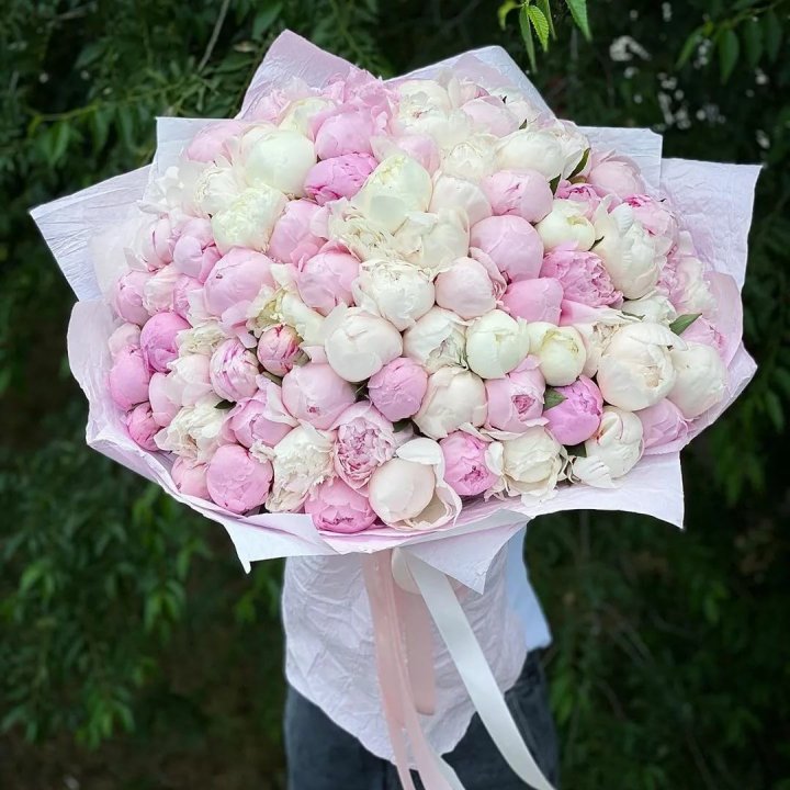 101 пион в Новосибирске