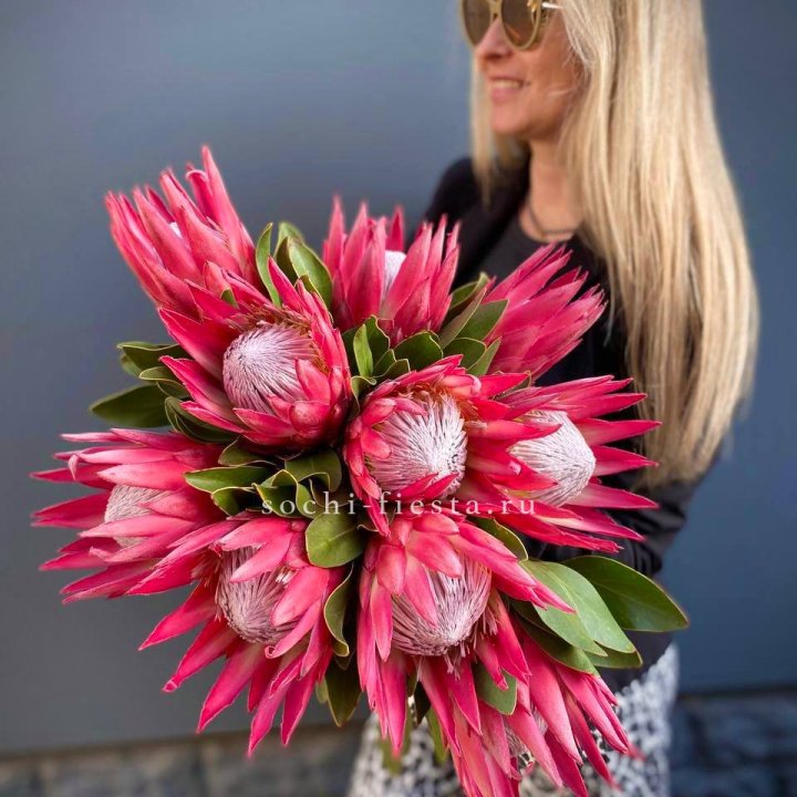 Протея штучно в Новосибирске