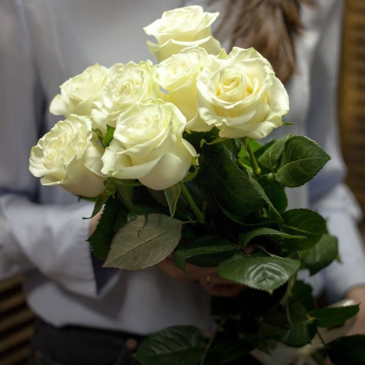 7 белых роз в Новосибирске