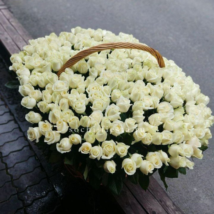 303 розы в корзине в Новосибирске