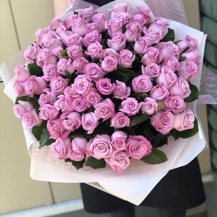 71 розовая роза "Маритим" в Новосибирске