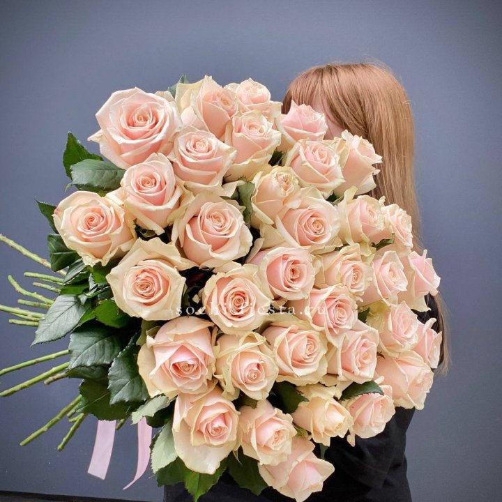 35 кремовых высоких роз в Новосибирске