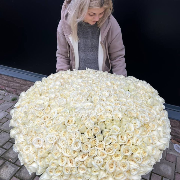 501 белая роза в корзине в Новосибирске