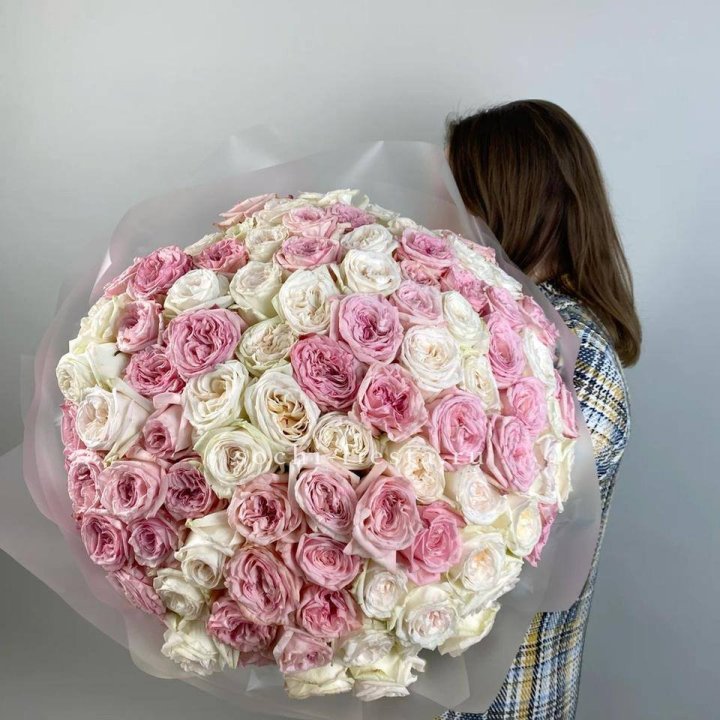 101 роз Охара в Новосибирске