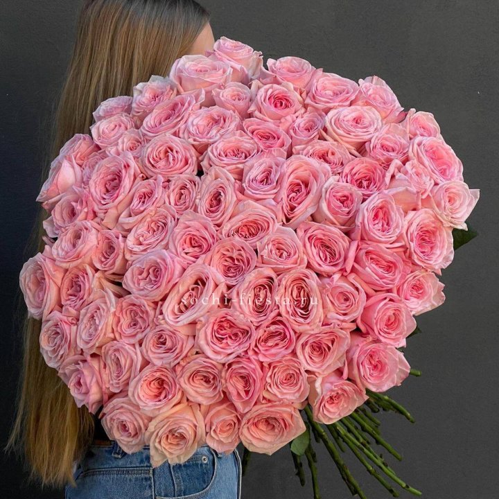 75 роз Охара в Новосибирске