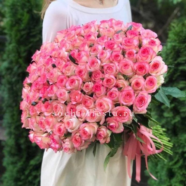 101  джумилия роза  в Новосибирске