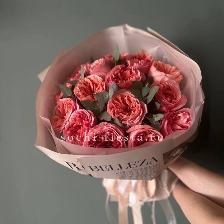 15 Пинк экспрешен в Новосибирске