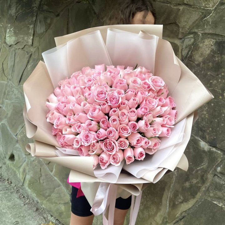 101 нежно-розовая роза Каролина  в Новосибирске