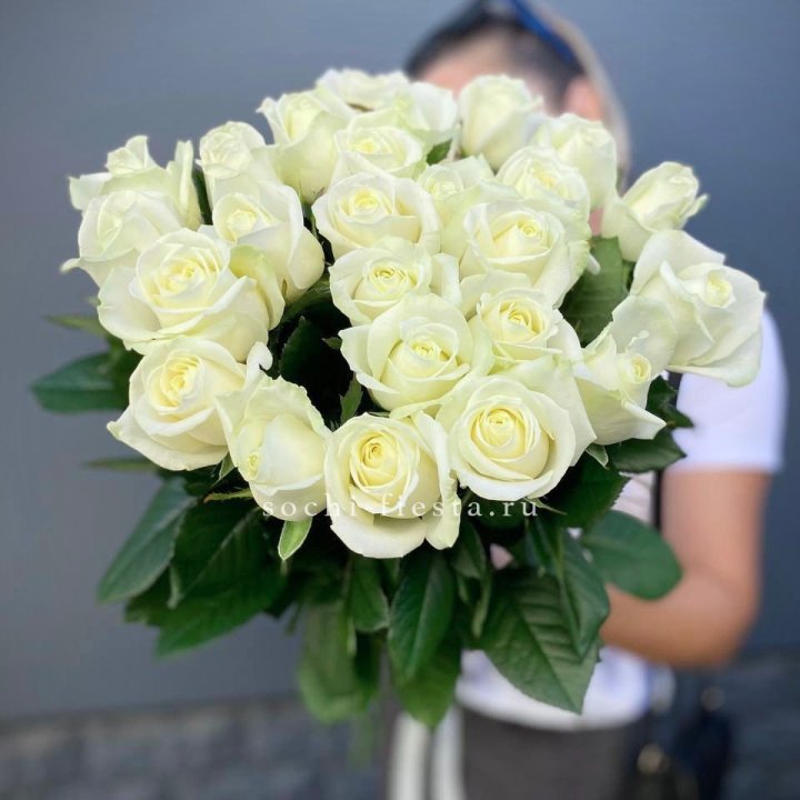 Голландские розы белые 25 с доставкой в Новосибирске