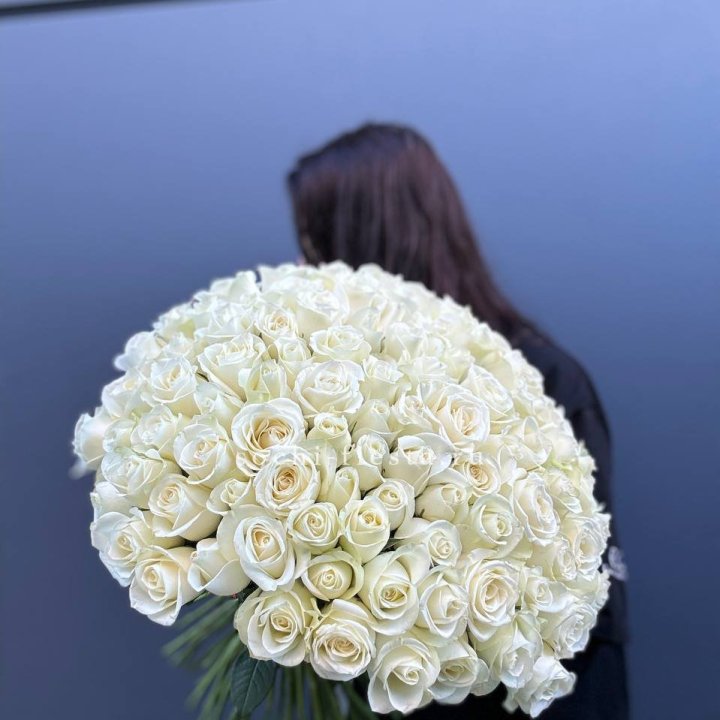 Охапка из 101 белой розы  в Новосибирске