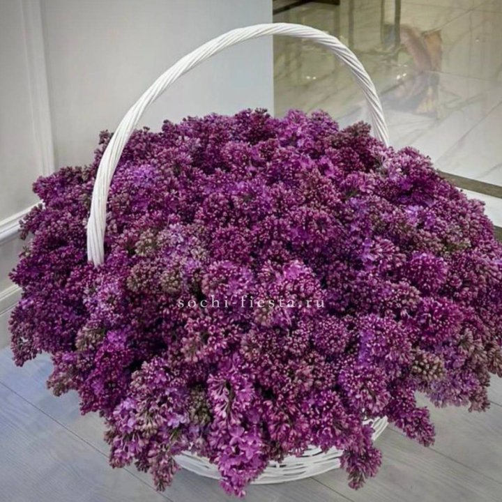 Корзина сирени в Новосибирске