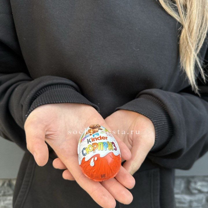 Яйцо "Киндер Сюрприз" в Новосибирске