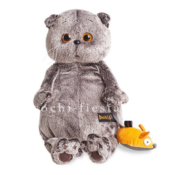 Кот Басик с мышкой в Новосибирске