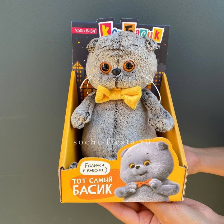 Кот Басик с бабочкой в Новосибирске