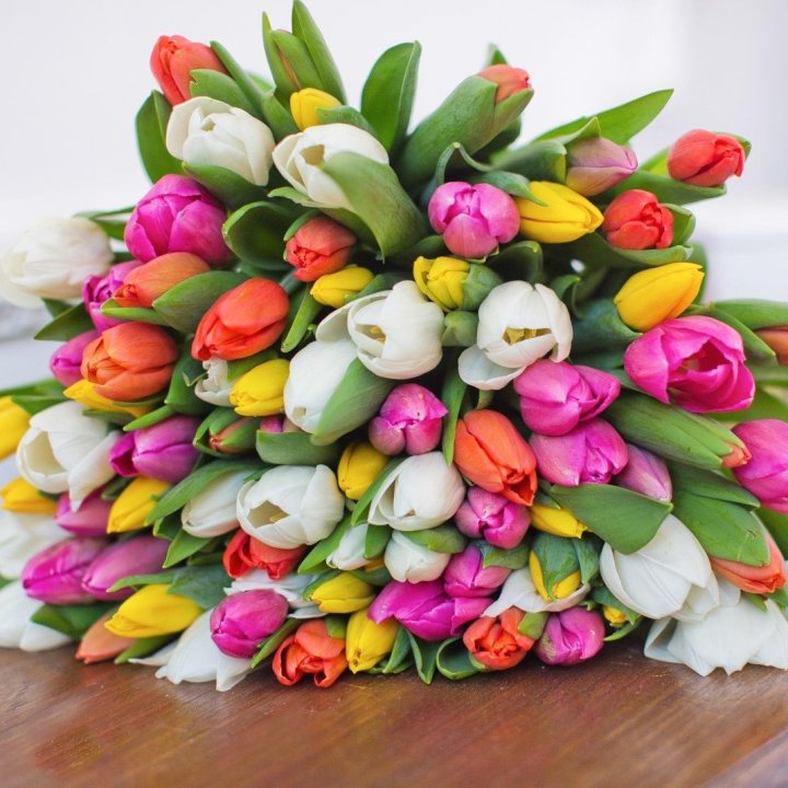79 тюльпанов "Рандом" в Новосибирске