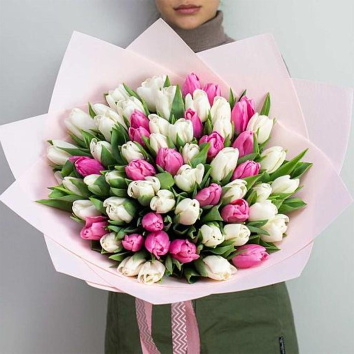 61 бело-розовый тюльпан в Новосибирске