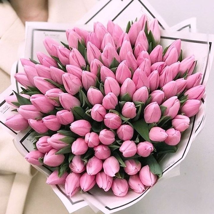 101 розовый тюльпан в белом в Новосибирске