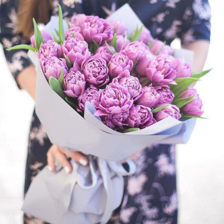 Тюльпаны "Пионс" в Новосибирске