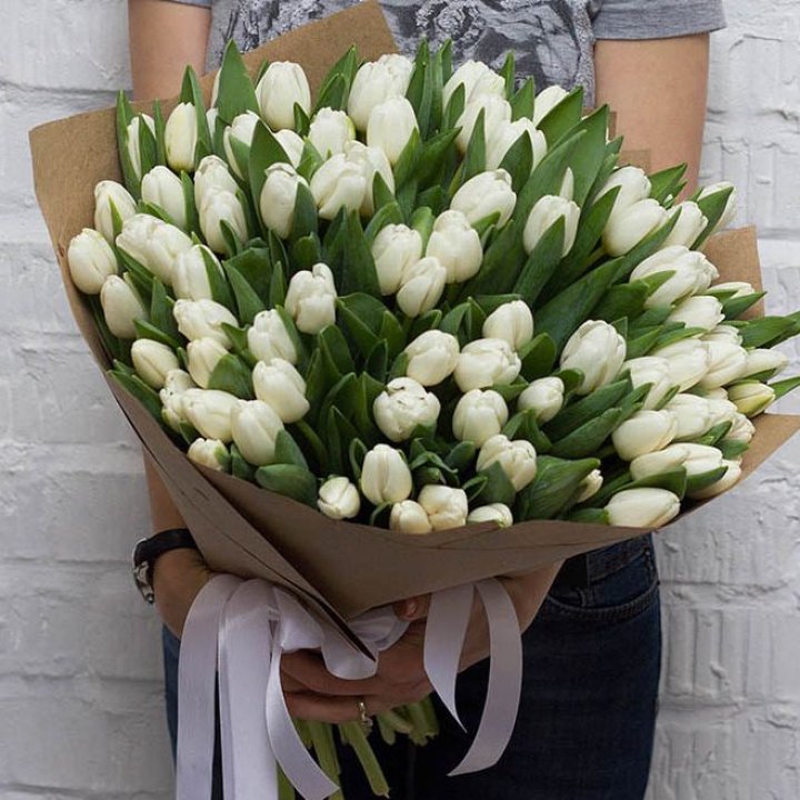 101 тюльпан сноу в Новосибирске