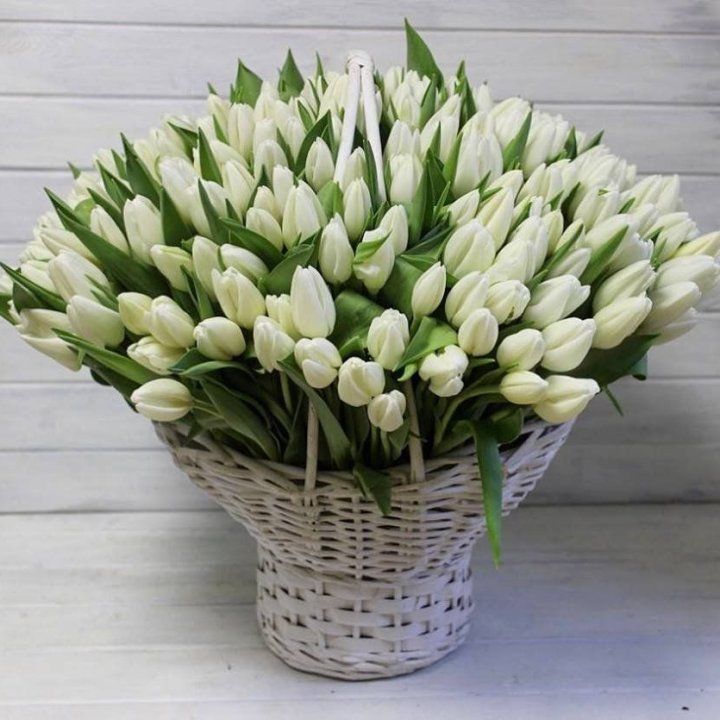 Корзина из 151 тюльпана в Новосибирске