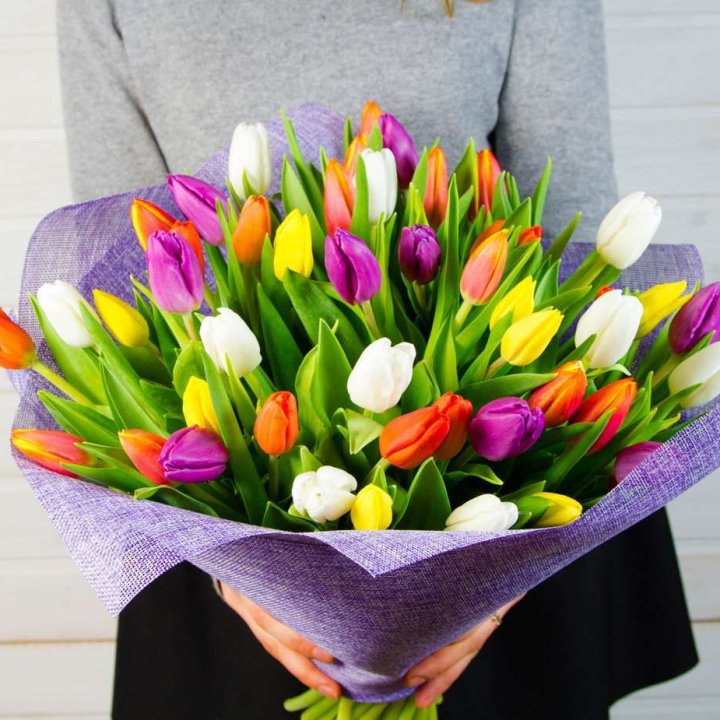 51 тюльпан "Рандом" №2 в Новосибирске