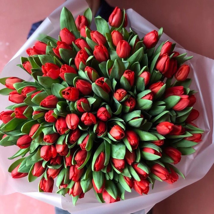 101 красный тюльпан в Новосибирске